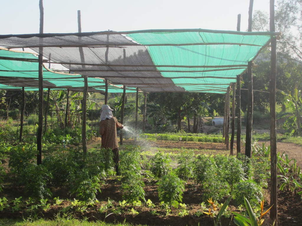 The Vine Retreat, Phnom Vor, Kep Province, Cambodia