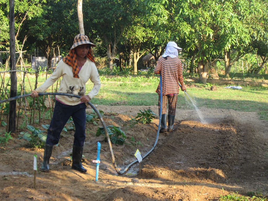 The Vine Retreat, Phnom Vor, Kep Province, Cambodia