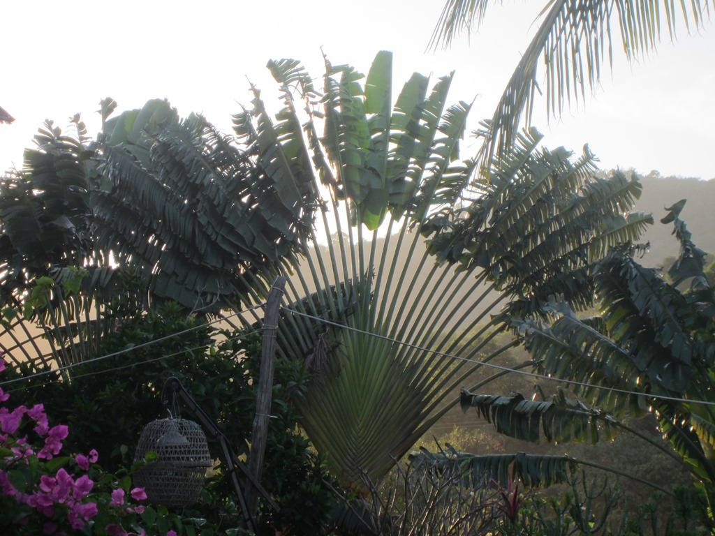 The Vine Retreat, Phnom Vor, Kep Province, Cambodia