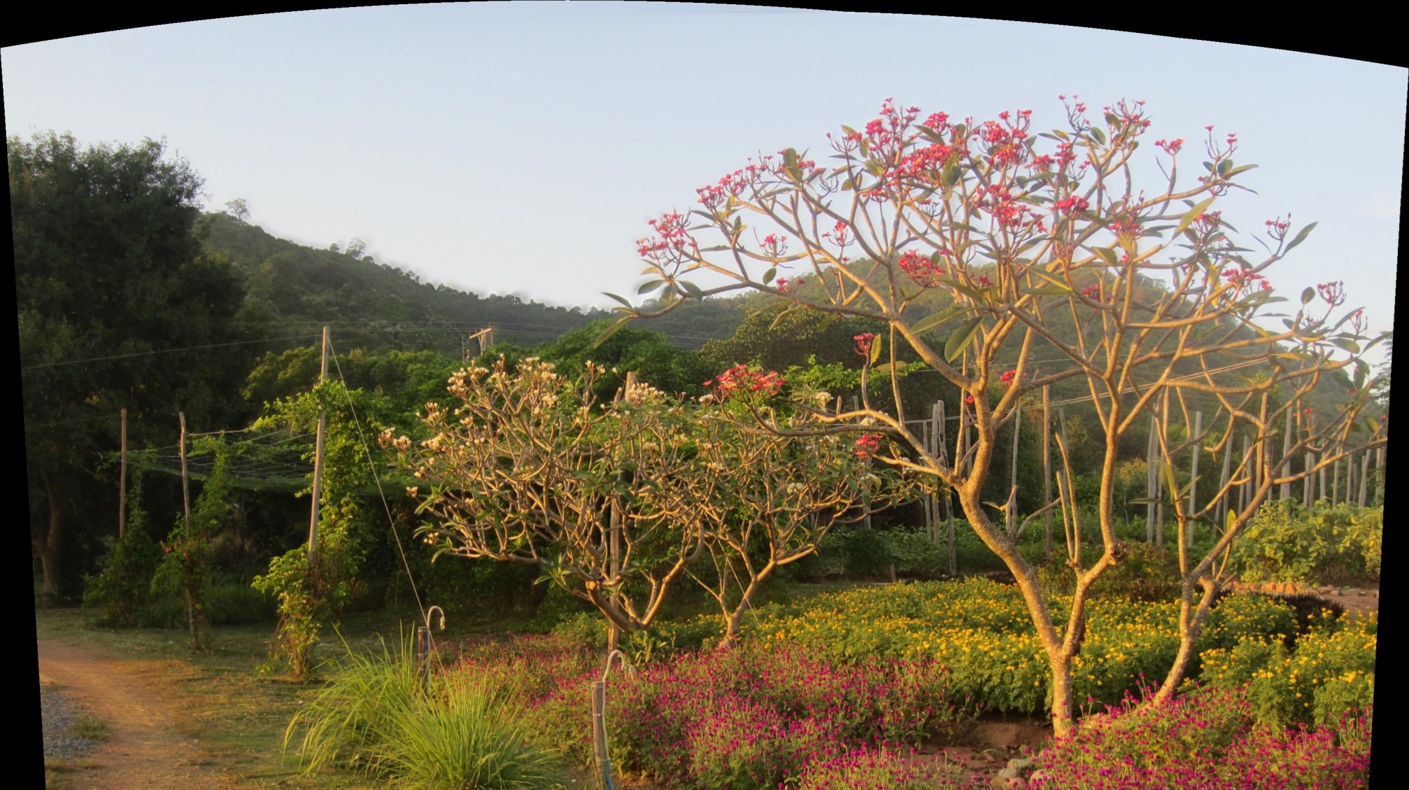 The Vine Retreat, Phnom Vor, Kep Province, Cambodia