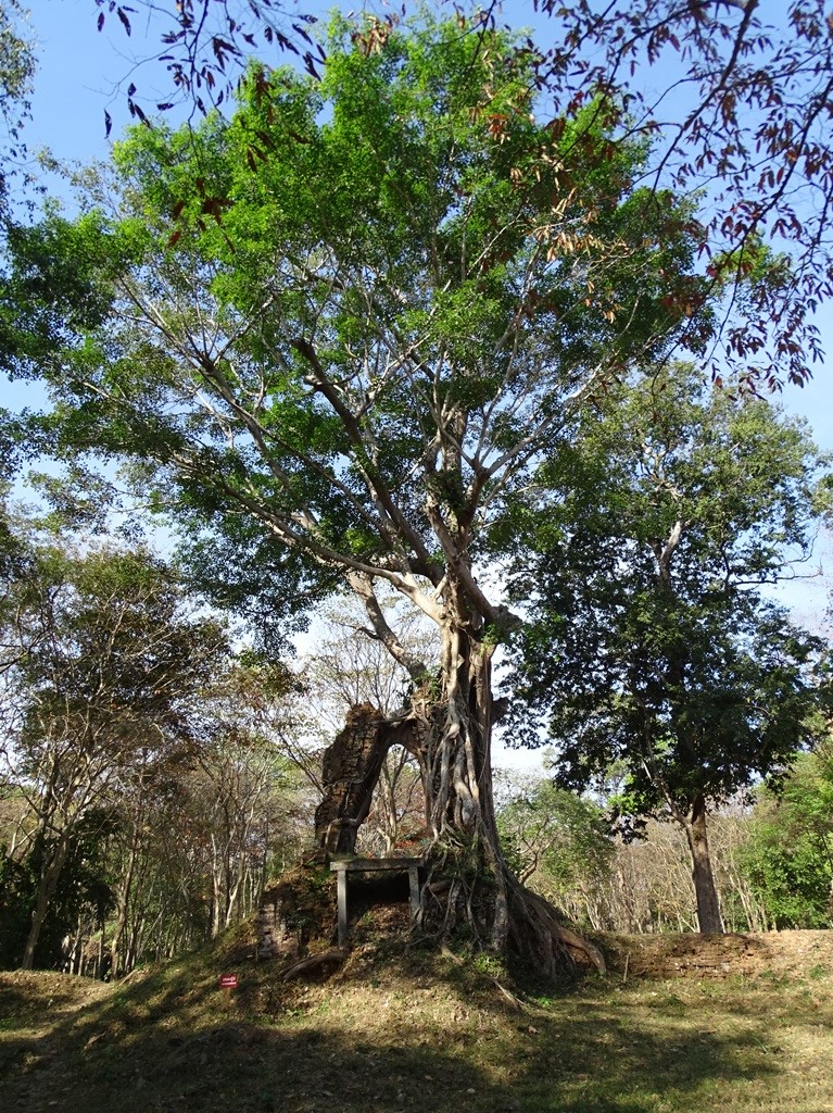 Sambor Prei Kuk, Cambodia