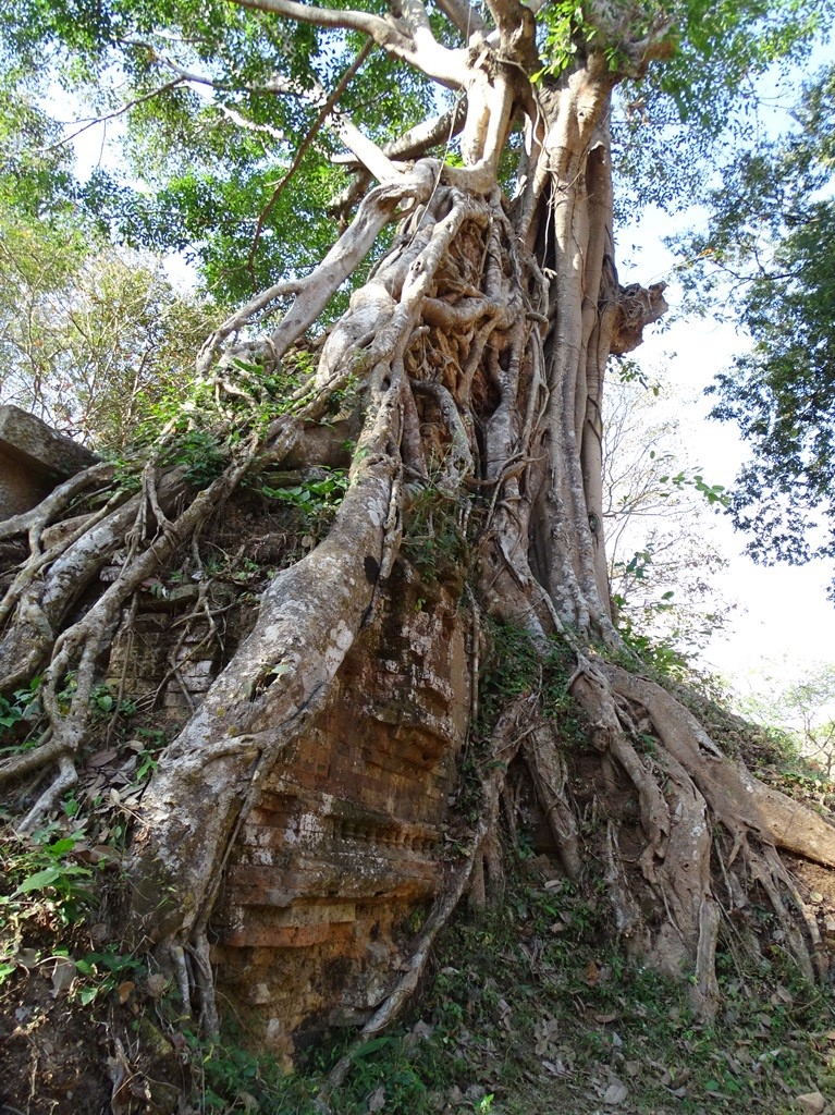 Sambor Prei Kuk, Cambodia