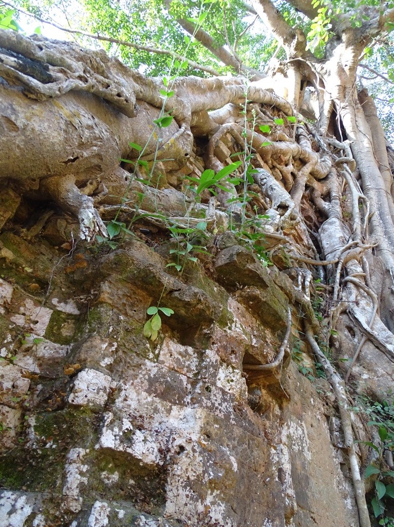 Sambor Prei Kuk, Cambodia