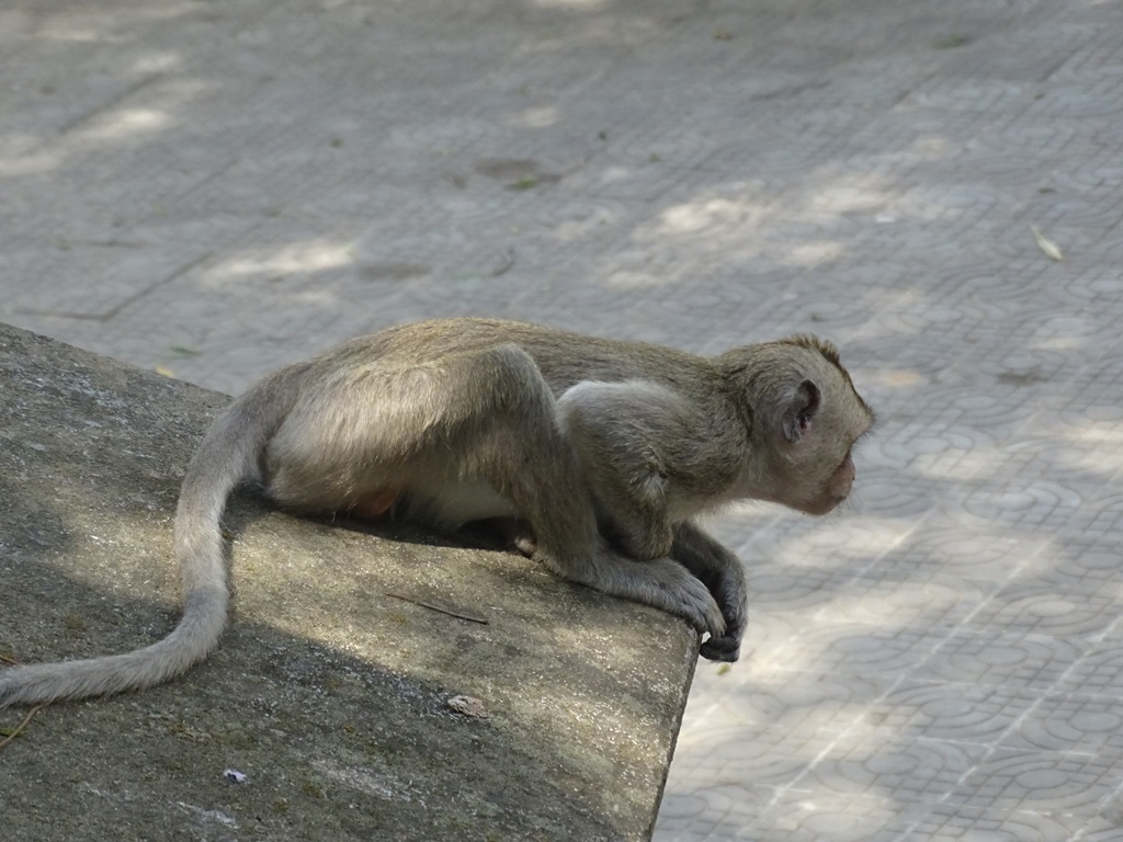 Phnom Santuk, Kampong Thom, Cambodia