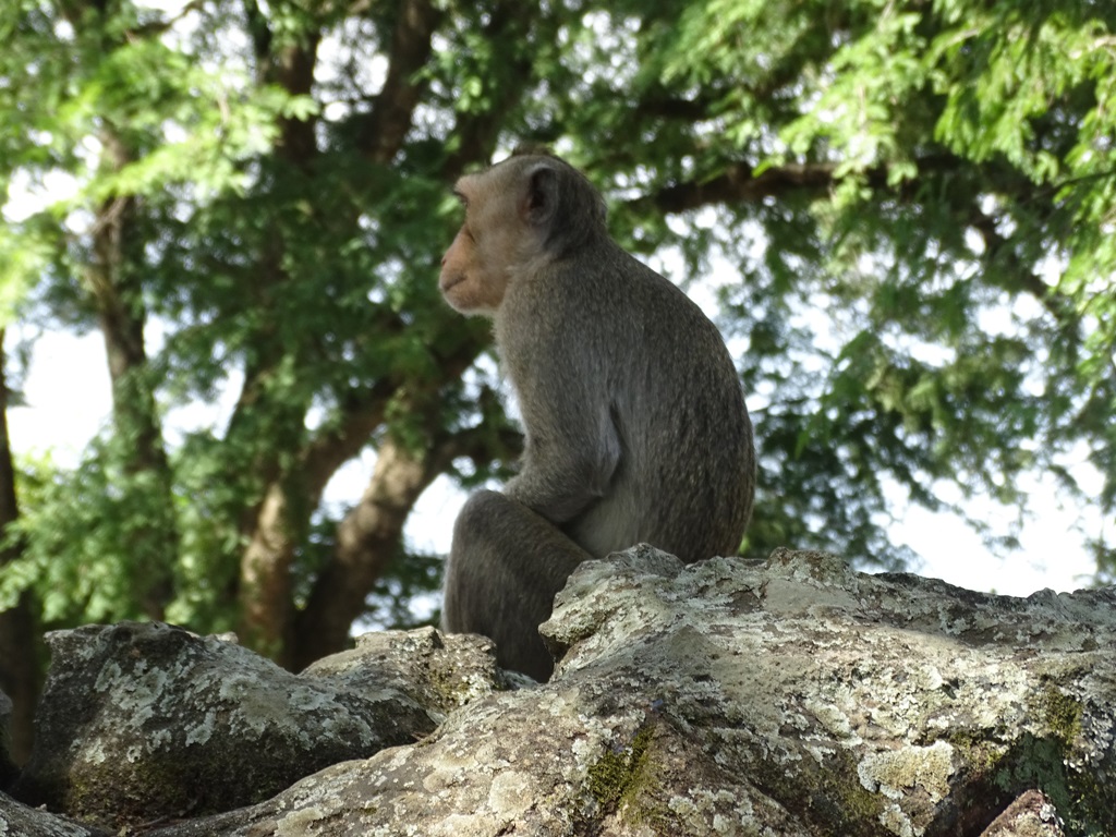 Phnom Santuk, Kampong Thom, Cambodia