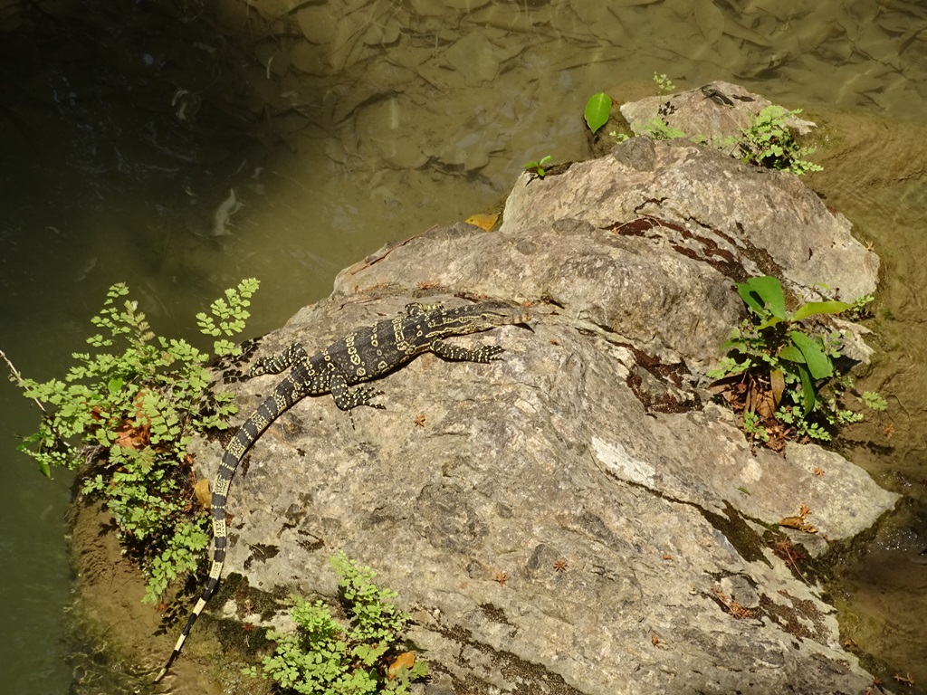 Erawan National Park, Kanchanaburi, Thailand