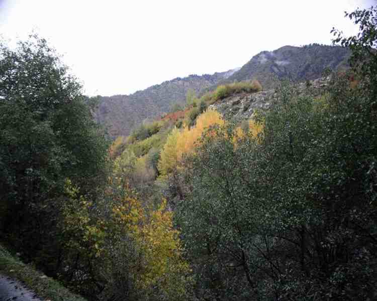 Mestia, Svaneti Region,  Georgia