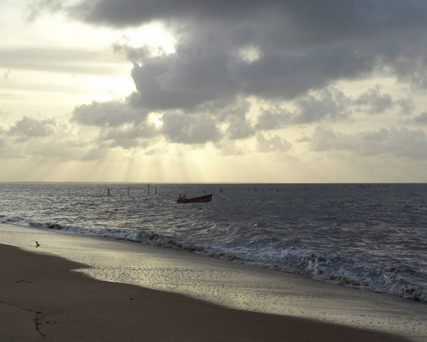Atlantic Coast, Suriname