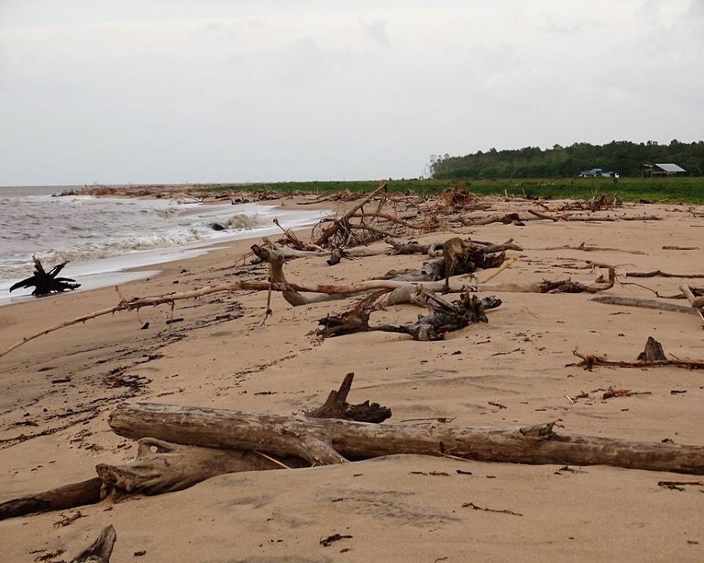 Atlantic Coast, Suriname