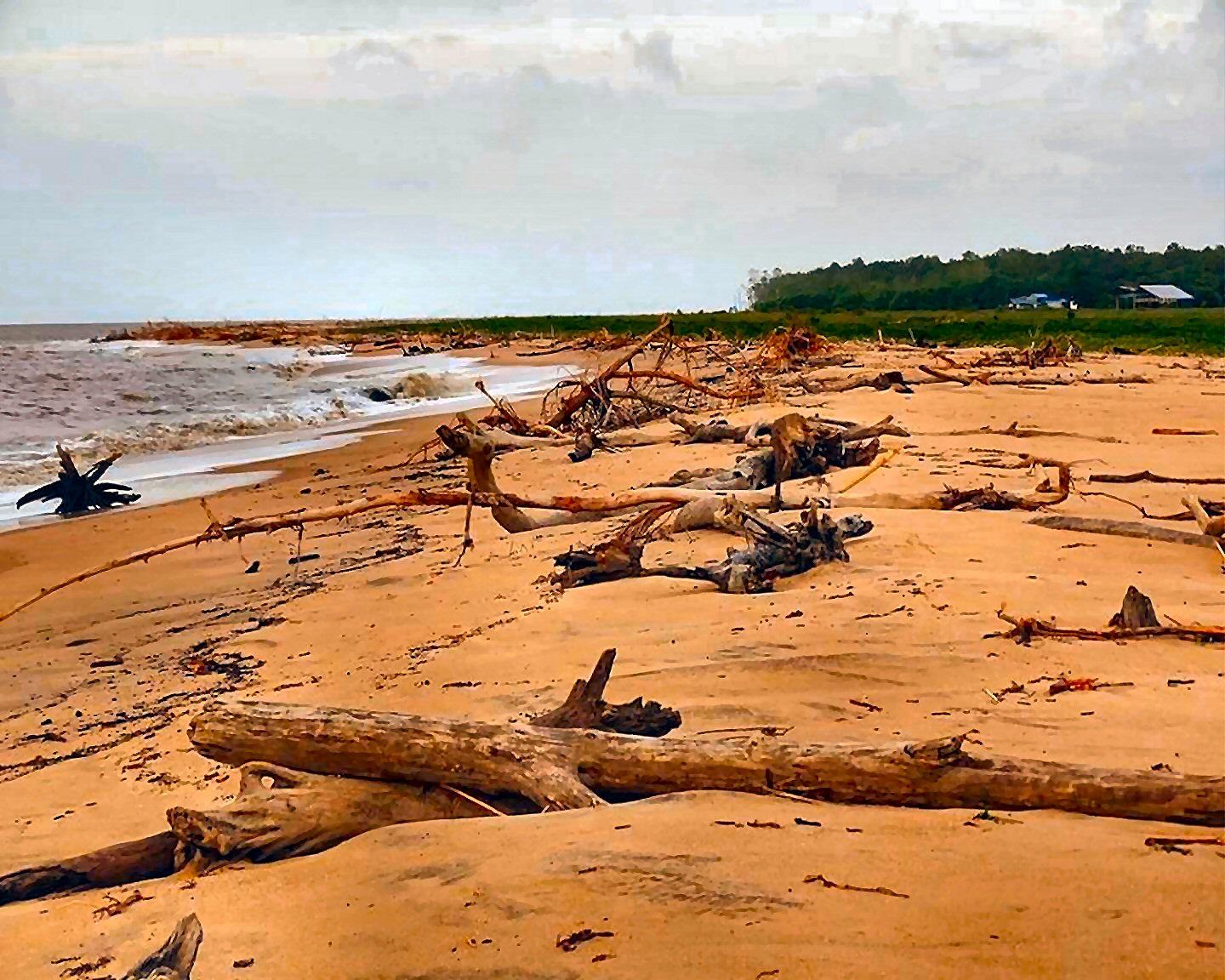 Atlantic Coast, Suriname