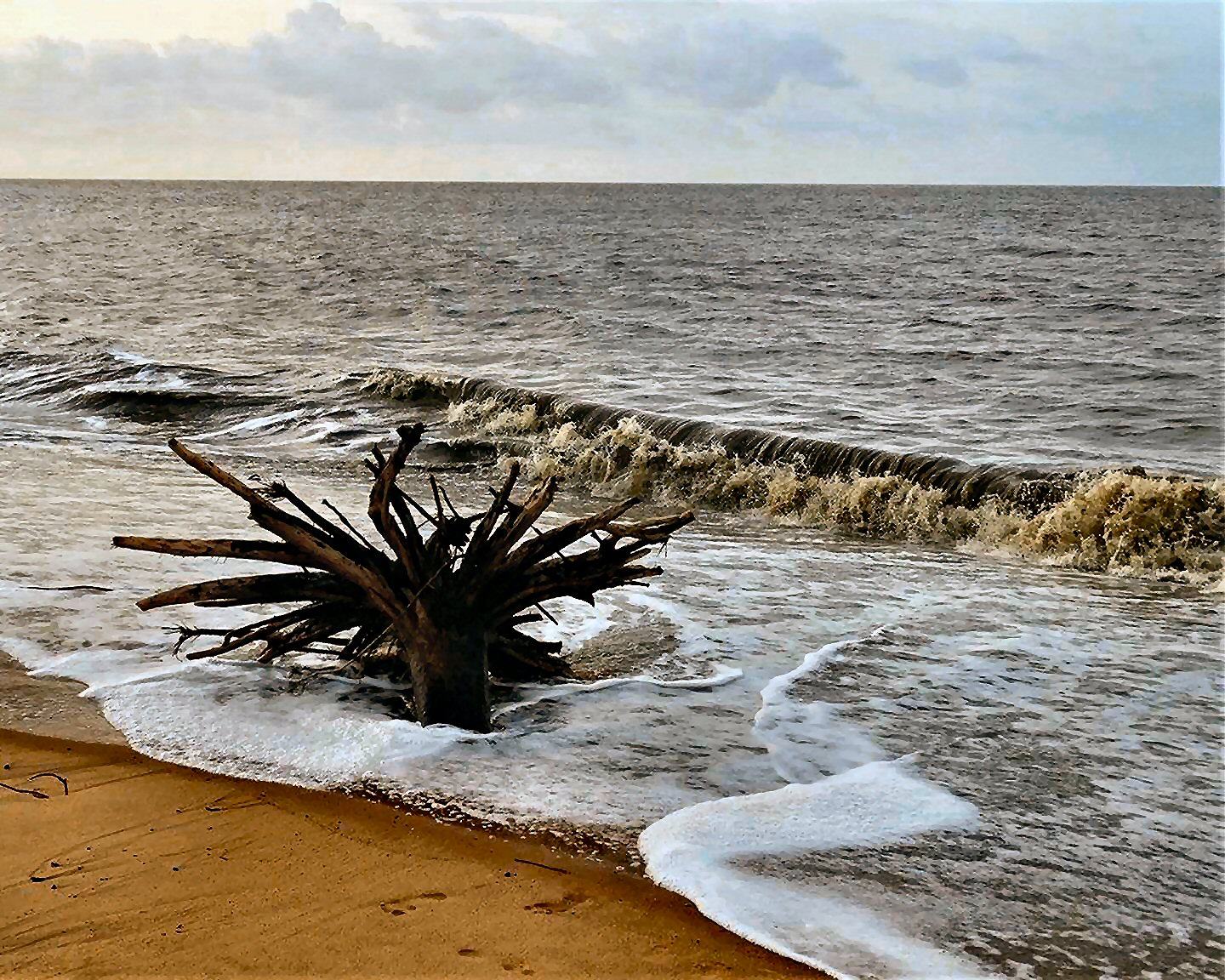 Atlantic Coast, Suriname