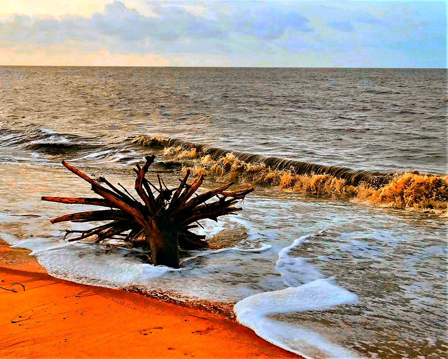 Atlantic Coast, Suriname