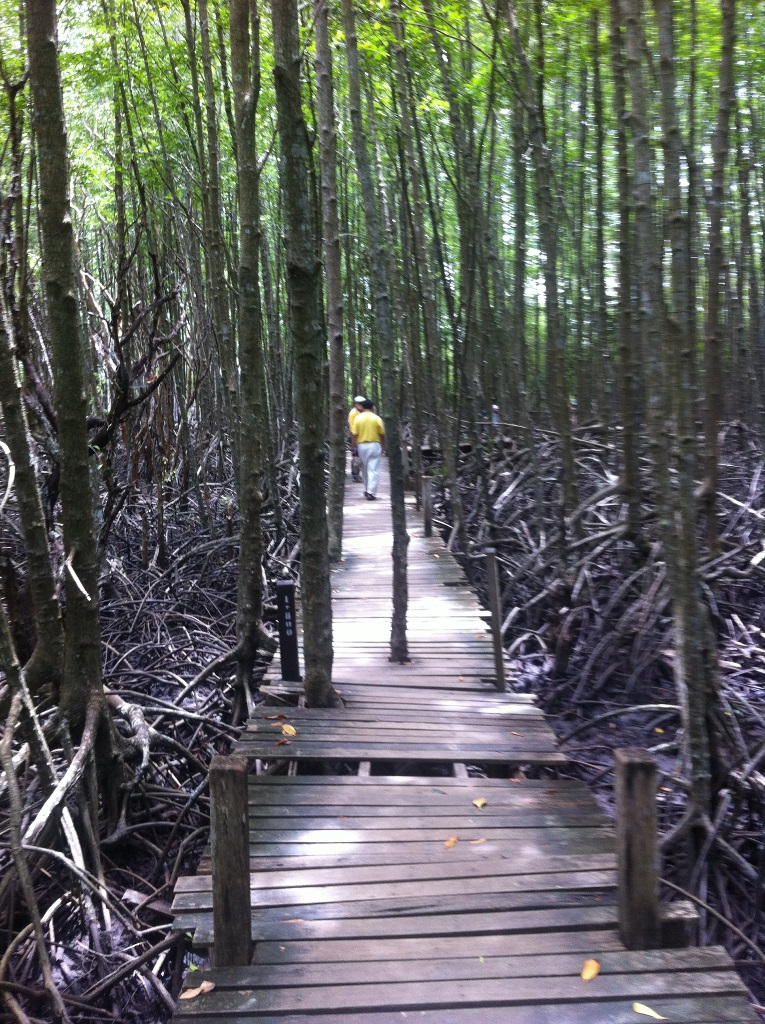 Golden Mangrove Field, Rayong, Thailand
