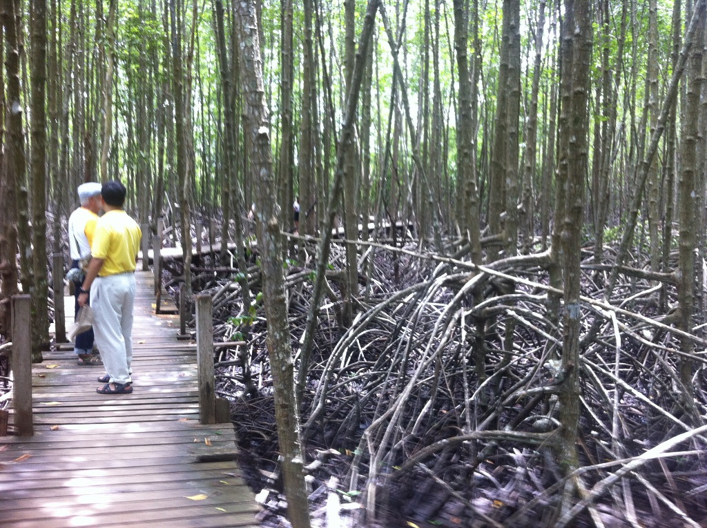 Golden Mangrove Field, Rayong, Thailand