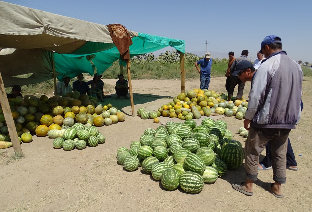 Watermelon Stand, Tajikistan