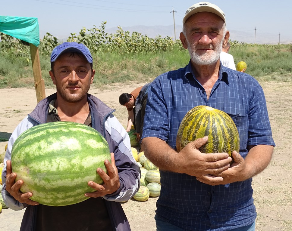 Watermelon Stand, Tajikistan