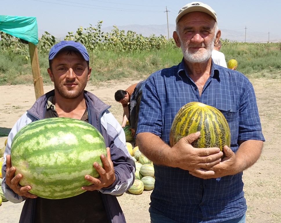 Watermelon Stand, Tajikistan