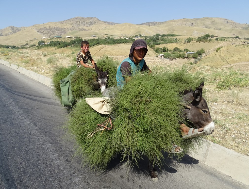 Boys at Work, Tajikistan