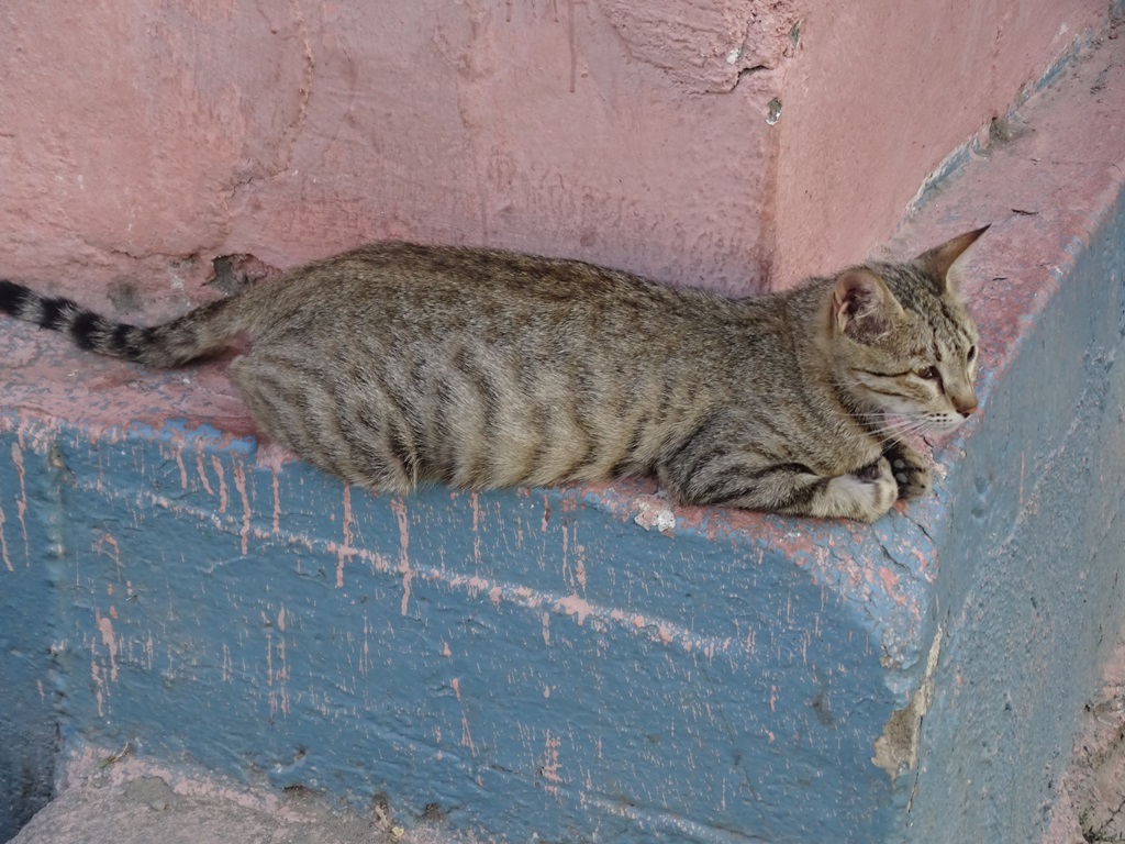  Chorug, Tajikistan