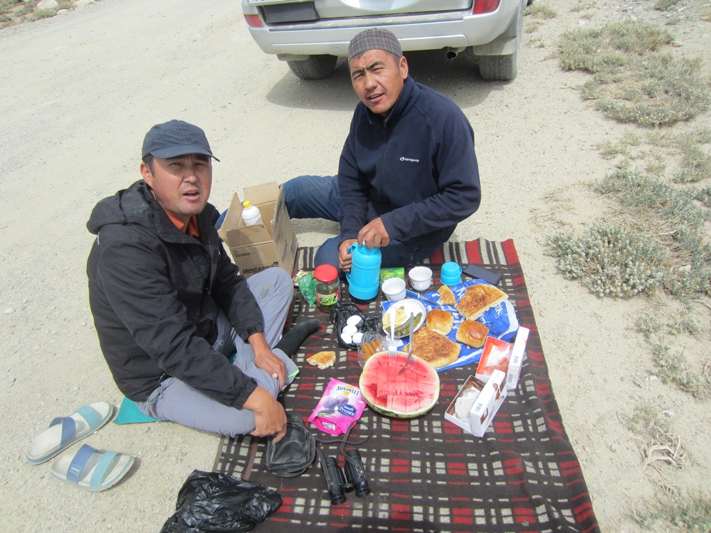 Koi-Tezek Pass, Pamir Desert, Tajikistan