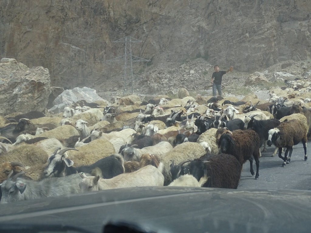 Traffic in Tajikistan