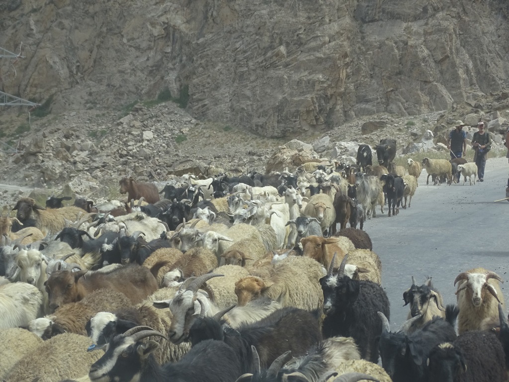 Traffic in Tajikistan