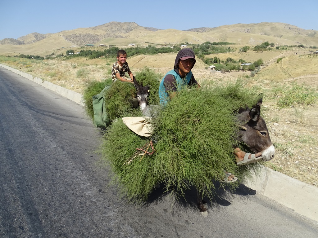 Traffic in Tajikistan