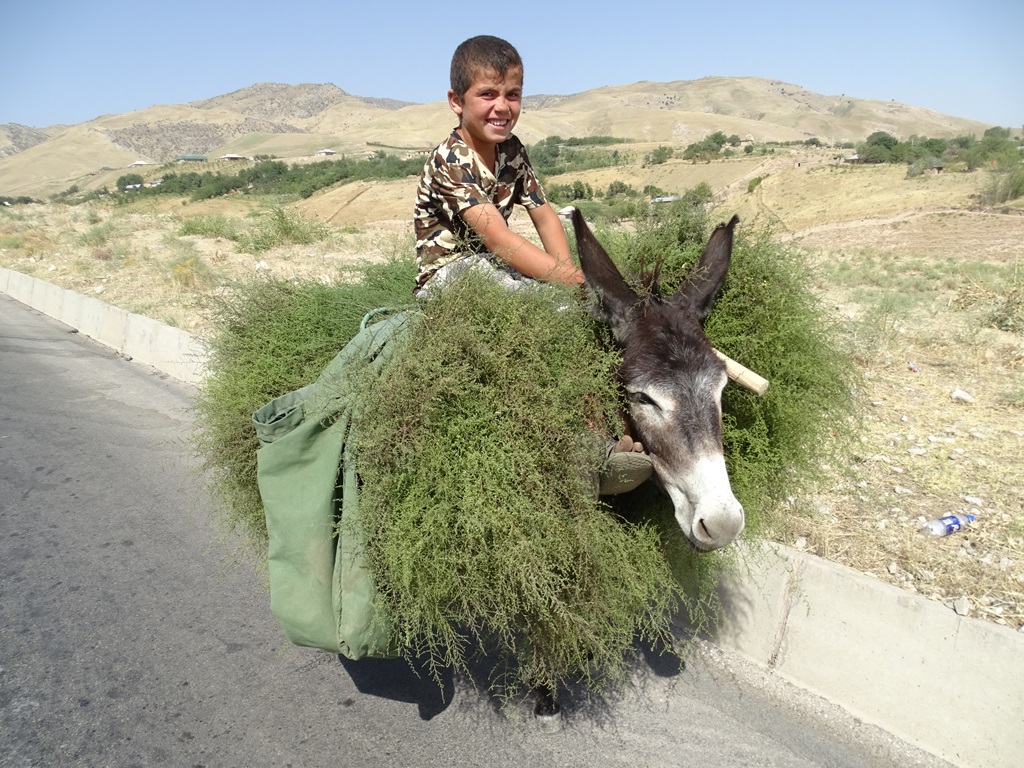 Traffic in Tajikistan