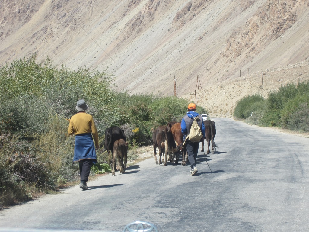 Traffic in Tajikistan