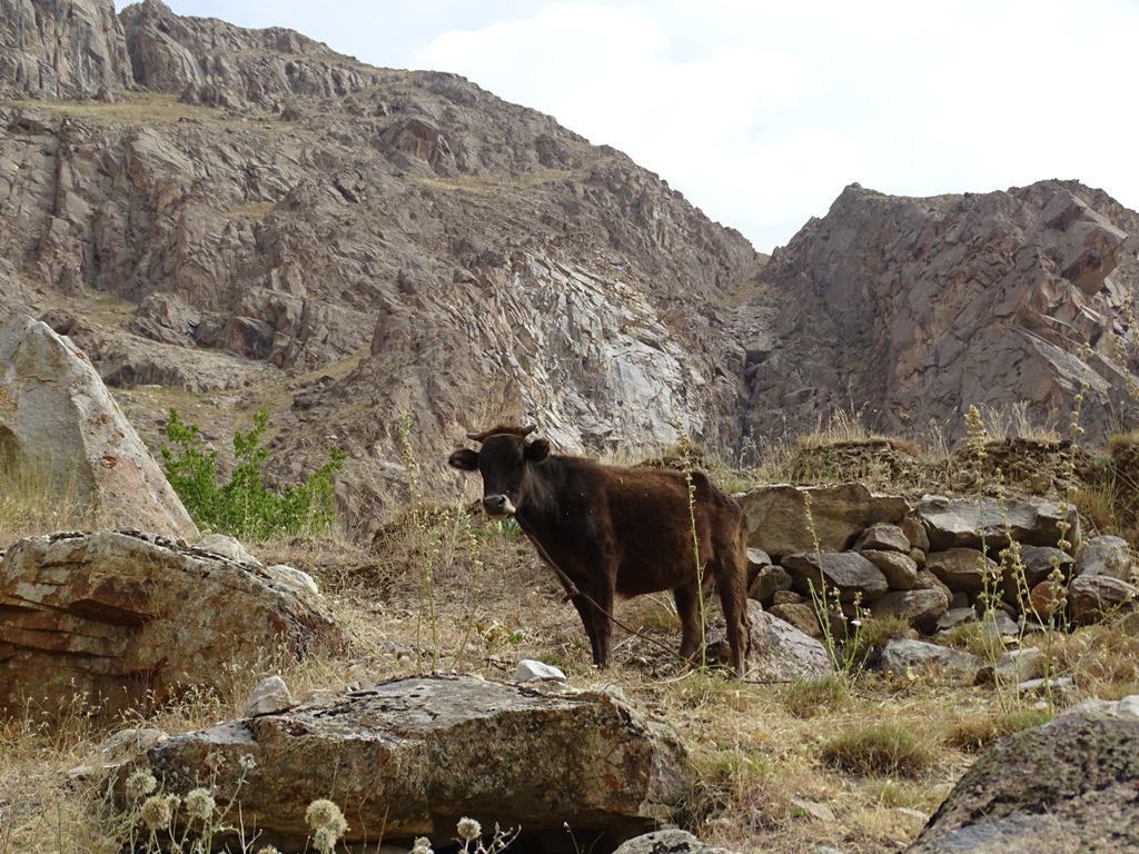 Pamirs, Tajikistan