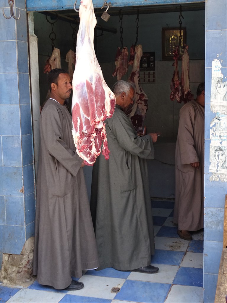 Gezira El Bairat, Luxor, Egypt