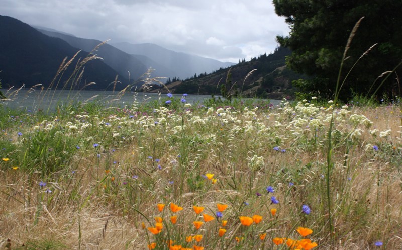 Columbia River, Oregon