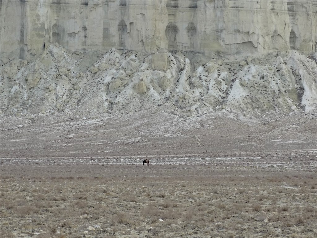 Valley of Castles, Mangystau, Kazakhstan 