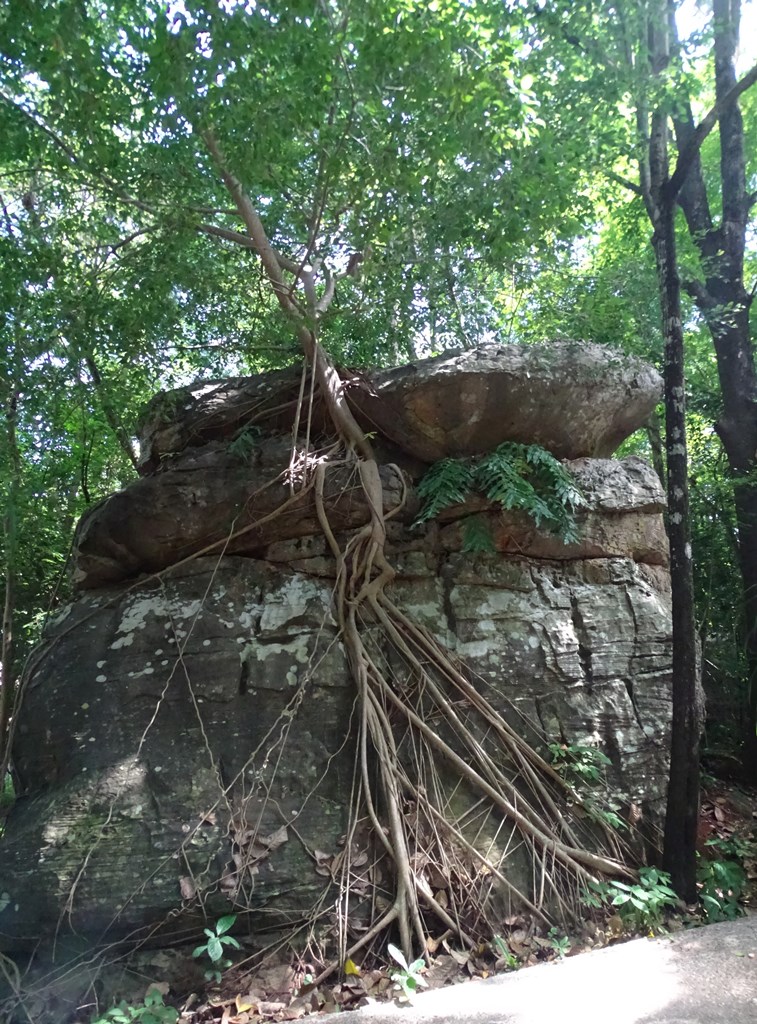 Khao Chan Ngam, Beautiful Moon Mountain, Nakhon Ratchasima, Thailand