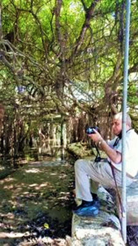 The Banyan Grove, Sai Ngam, Nakhon Ratchasima, Thailand 