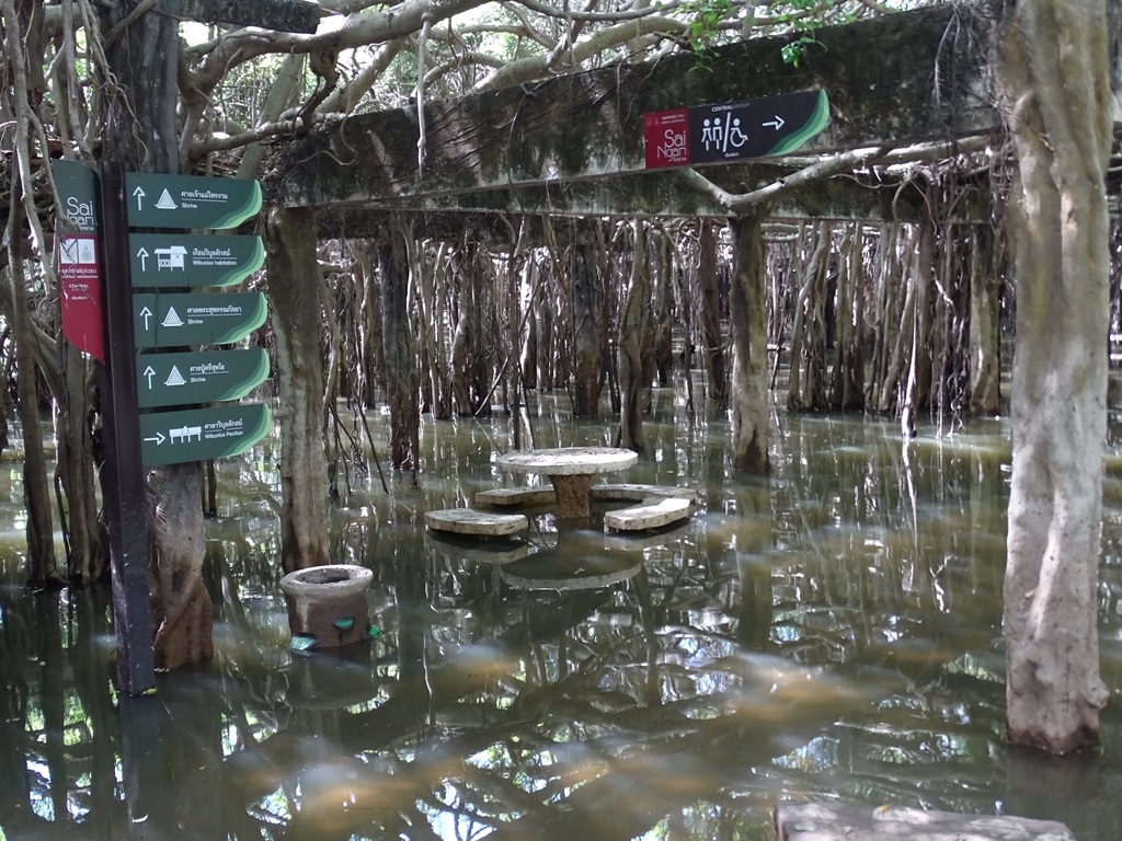 The Banyan Grove, Sai Ngam, Nakhon Ratchasima, Thailand 