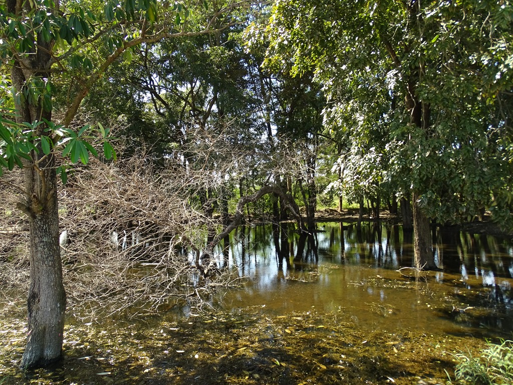 The Banyan Grove, Sai Ngam, Nakhon Ratchasima, Thailand 