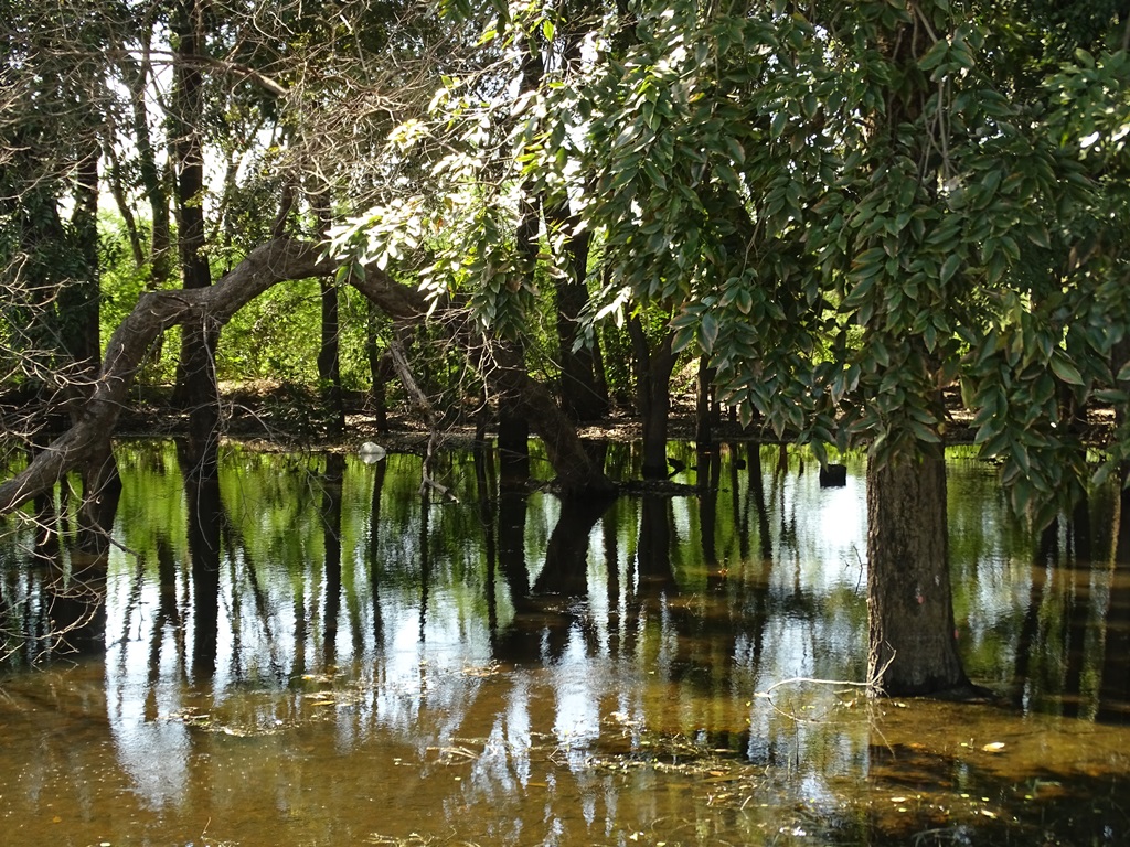 The Banyan Grove, Sai Ngam, Nakhon Ratchasima, Thailand 