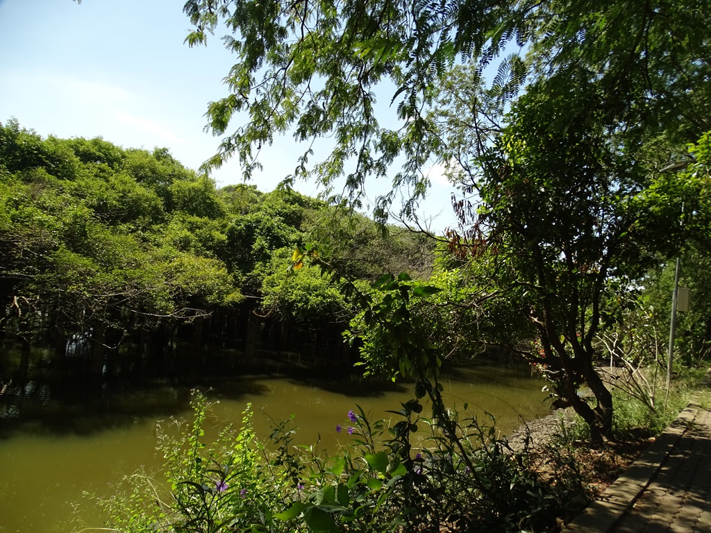 The Banyan Grove, Sai Ngam, Nakhon Ratchasima, Thailand 