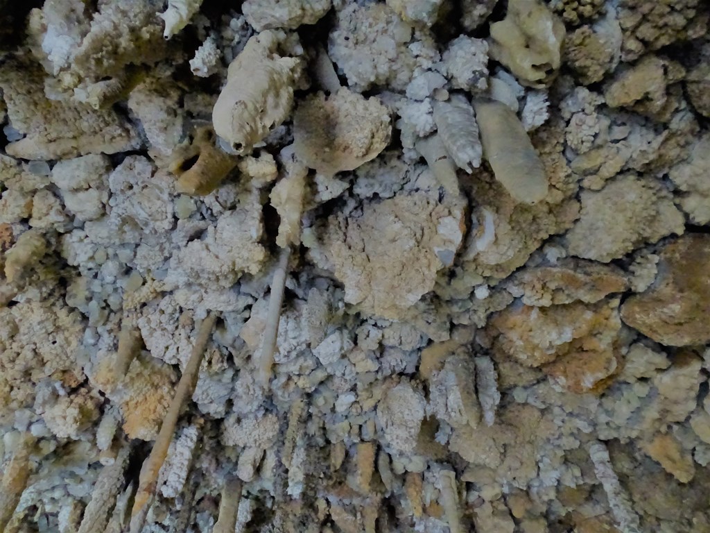 Parat Cha Wemonmoree, Temple Cave, Nakhon Ratchasima, Thailand