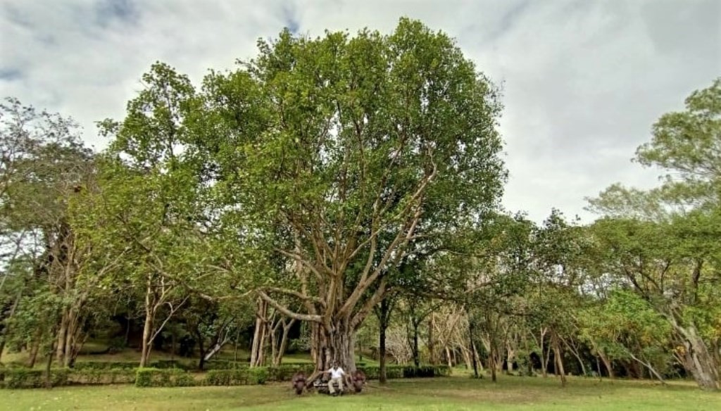  Prasat Hin Phanom Rung, Buriram, Thailand