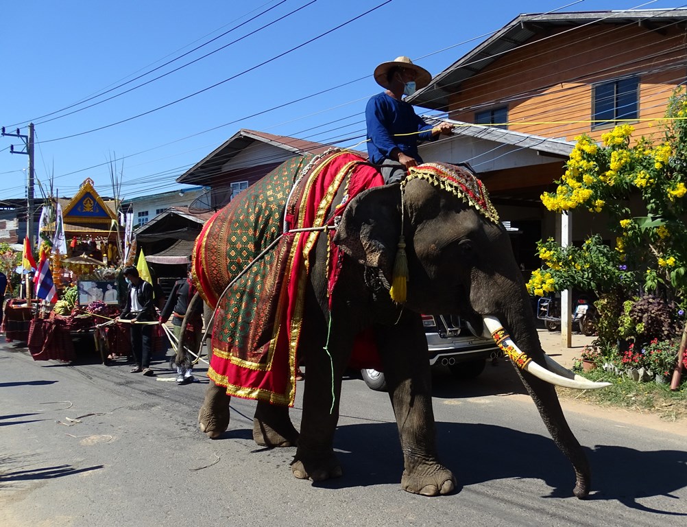 Tha Tum District  Surin Province  Thailand