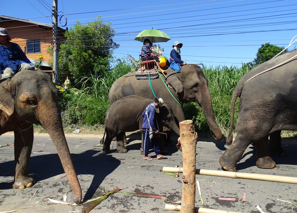 Tha Tum District  Surin Province  Thailand