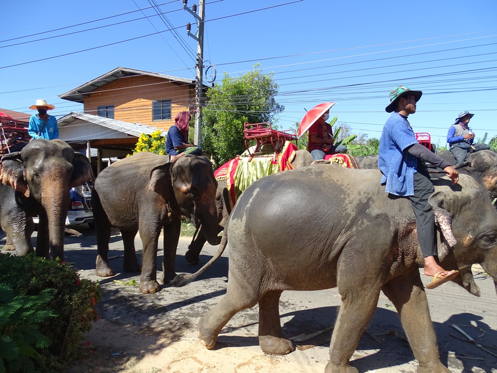 Tha Tum District  Surin Province  Thailand