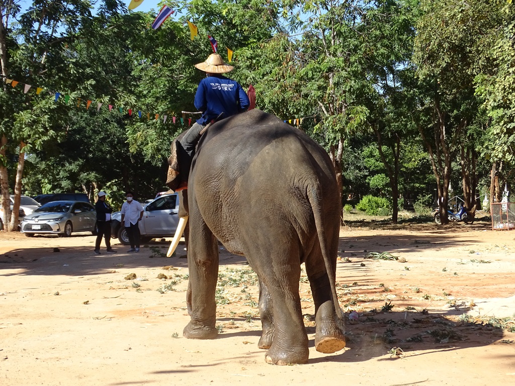 The Forest Temple, Tha Tum District  Surin Province  Thailand