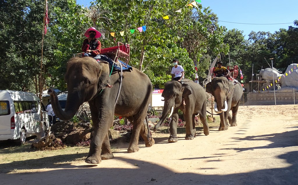 The Forest Temple, Tha Tum District  Surin Province  Thailand