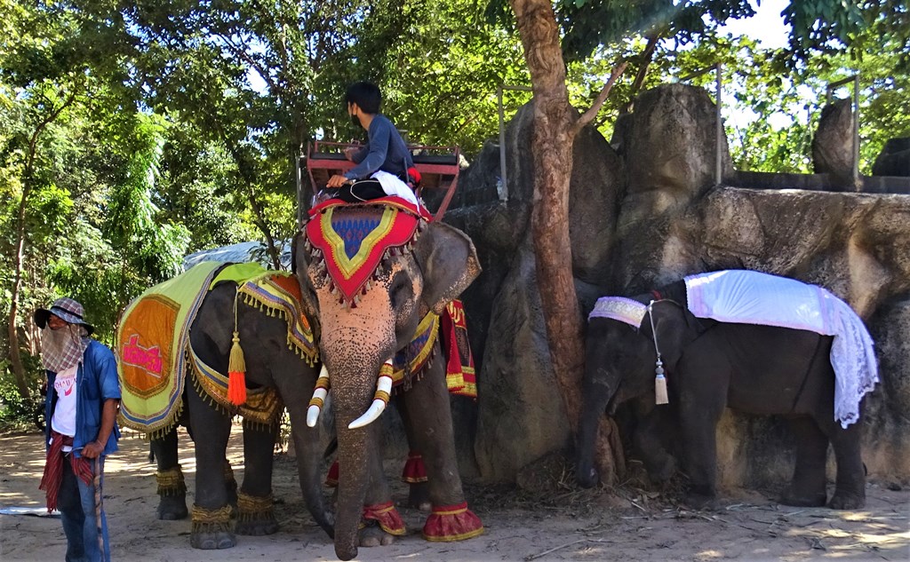 The Forest Temple, Tha Tum District  Surin Province  Thailand