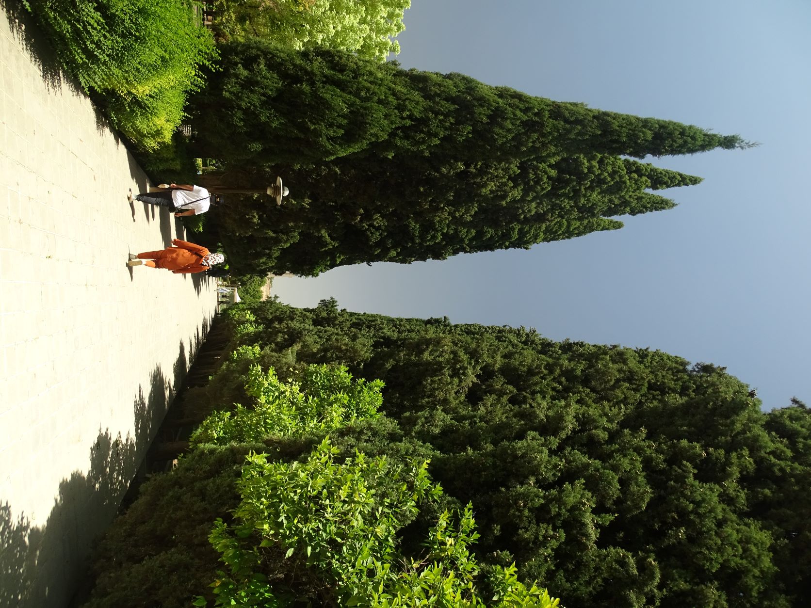 Eram Botanical Garden, Shiraz, Iran