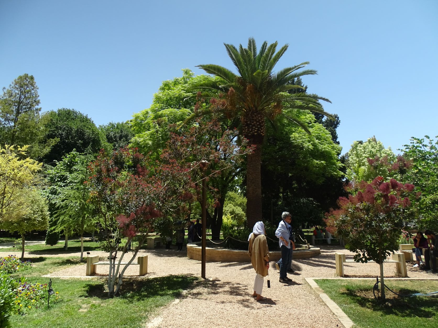 Eram Botanical Garden, Shiraz, Iran