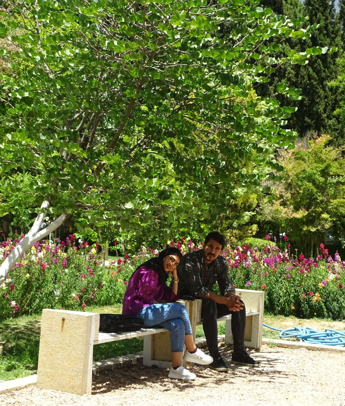 Eram Botanical Garden, Shiraz, Iran